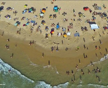 ד"ר ברוך זיו